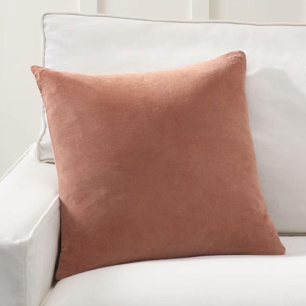 Throw Pillows - Velvet